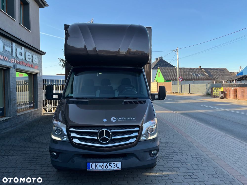 Mercedes-Benz 319 XXL - 3