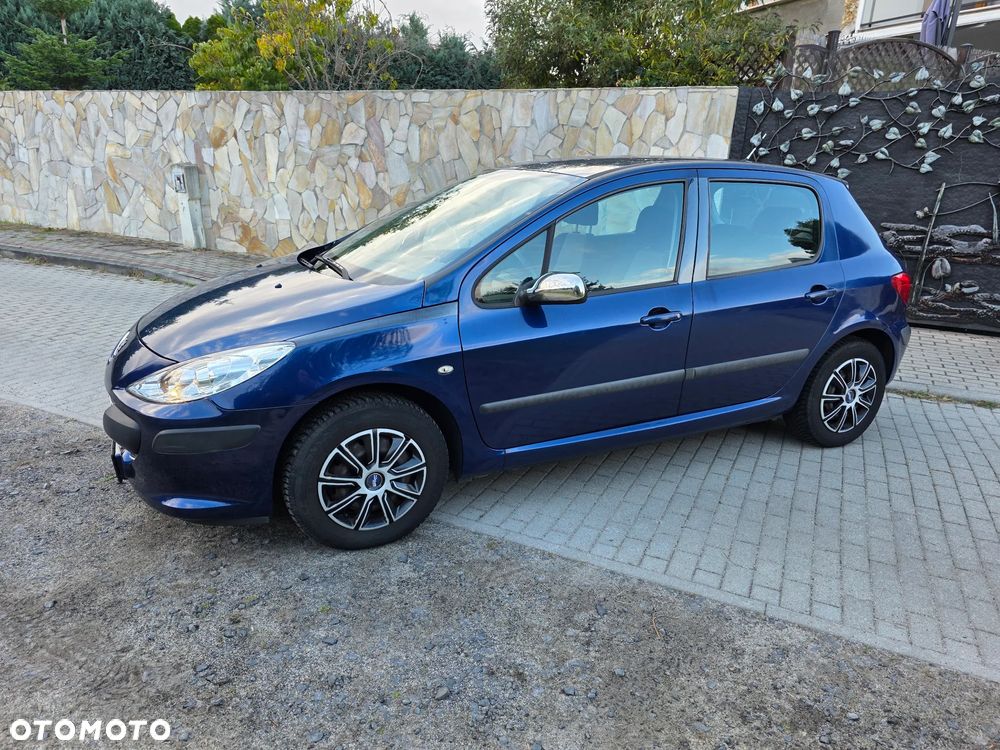 Peugeot 307 - 6