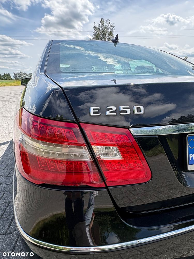 Mercedes-Benz Klasa E 250 CGI BlueEFFICIENCY Avantgarde - 12