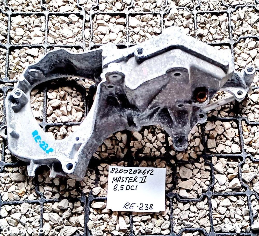 ŁAPY RENAULT - 24