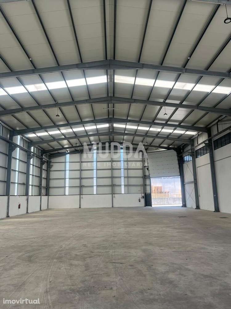 Excelente armazém para arrendar na zona industrial de Oiã - Grande imagem: 2/6