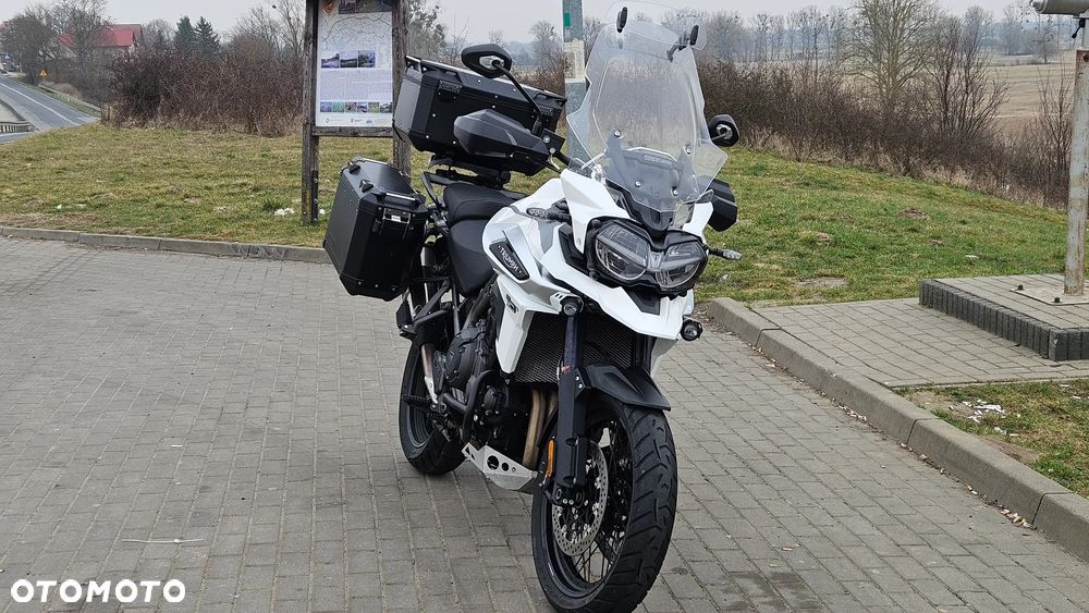 Triumph Tiger - 11
