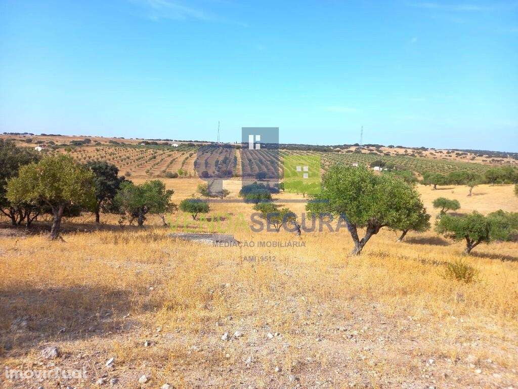 2 Terrenos agrícolas + Casão | Amareleja - Grande imagem: 3/19