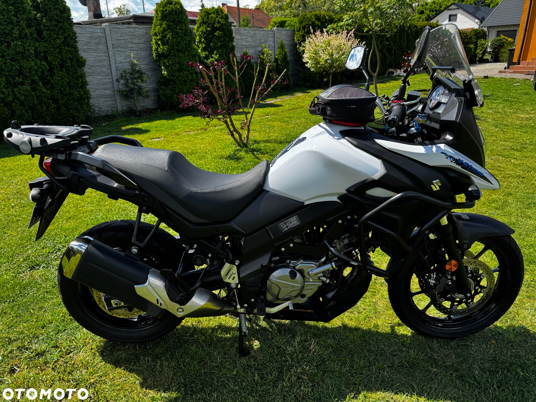 Suzuki DL - 8