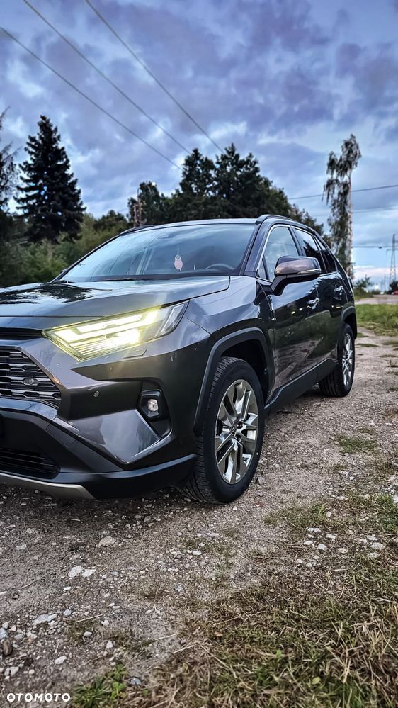 Toyota RAV4 2.5 Hybrid Executive 4x4 - 19