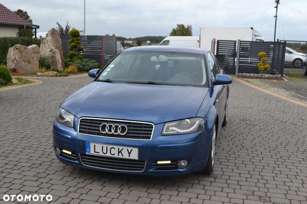 Audi A3 1.6 FSI Ambition - 6