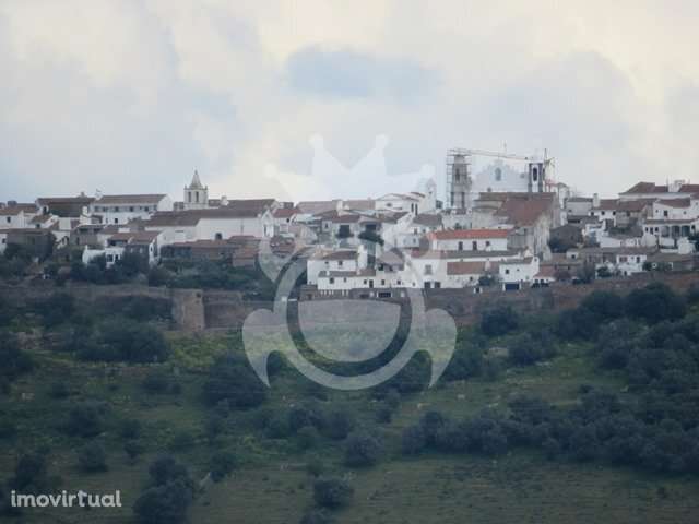 Terreno Agrícola de 11,1 ha com Vinha, Olival e Sistema de Rega – M... - Grande imagem: 3/34