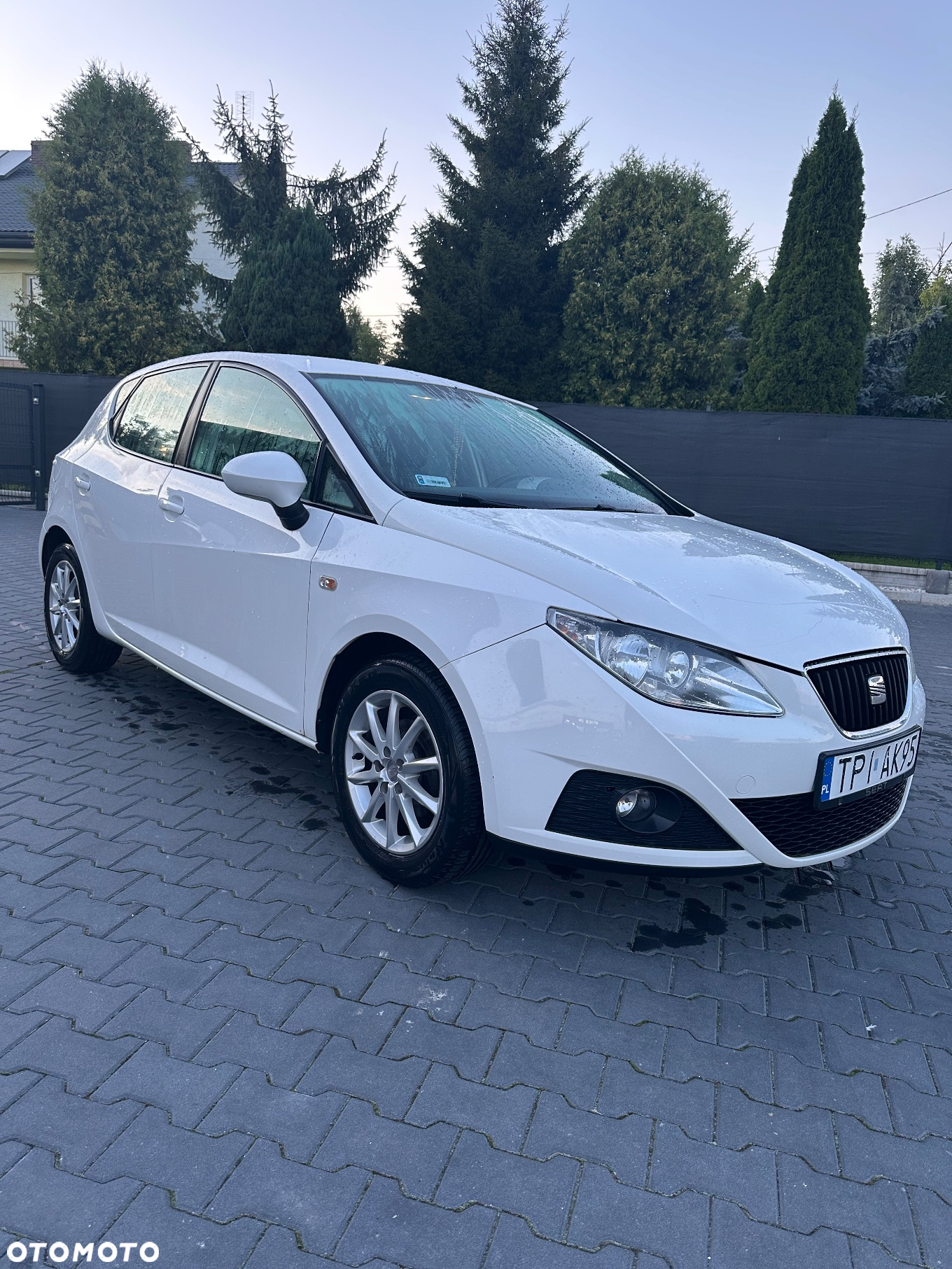 Seat Ibiza - 3