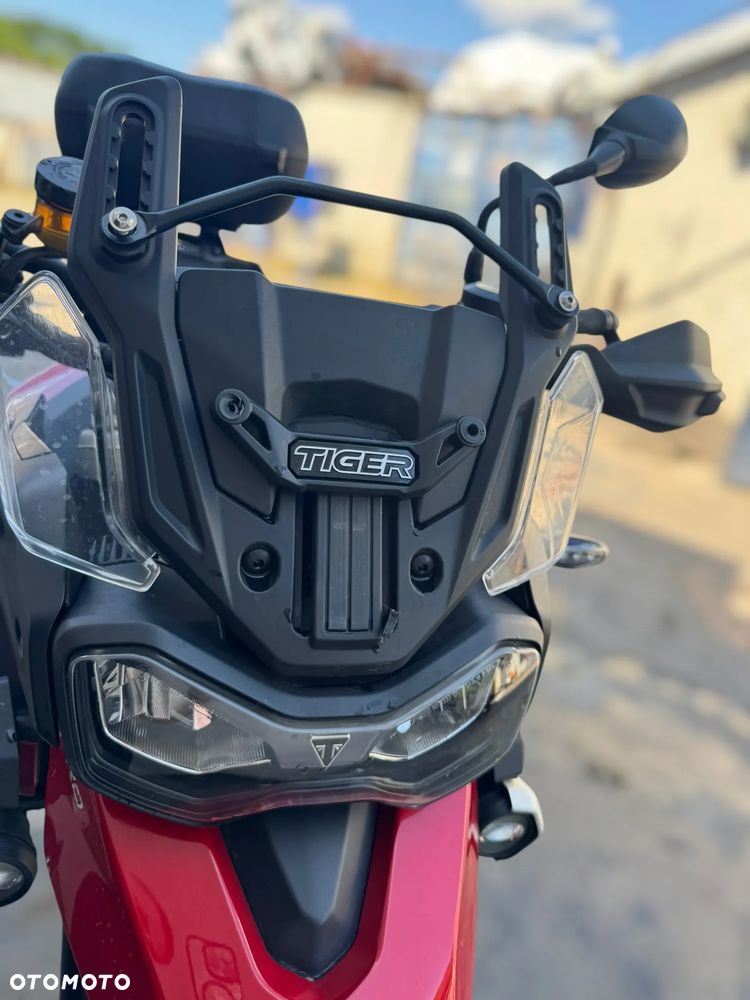 Triumph Tiger - 10