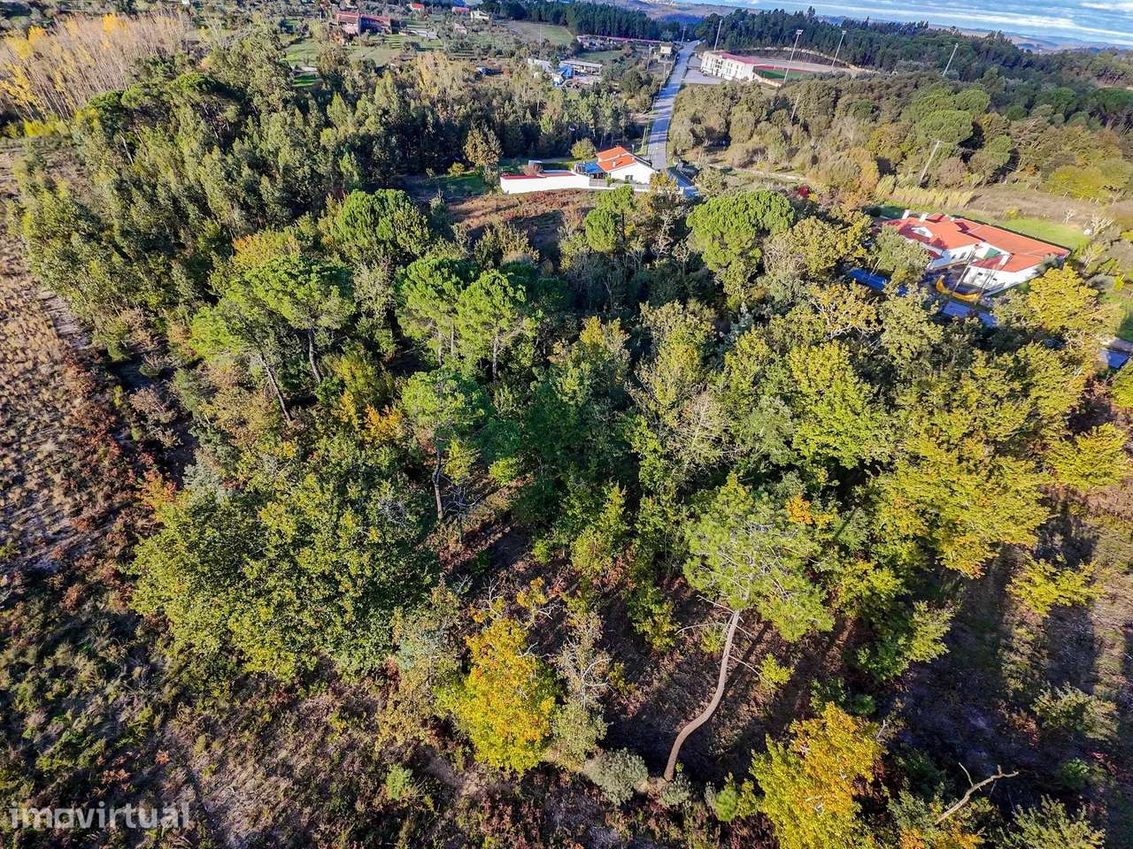 Terreno de 7.912 m2 com Viabilidade de Construção - Tábua - Grande imagem: 3/14