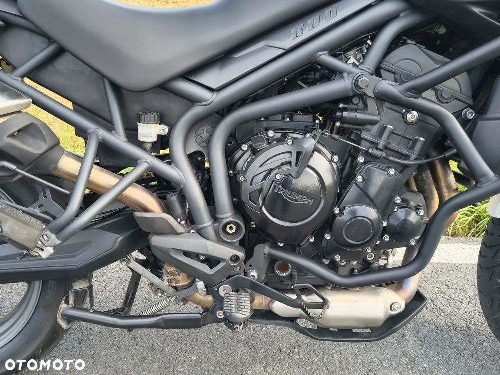 Triumph Tiger - 4