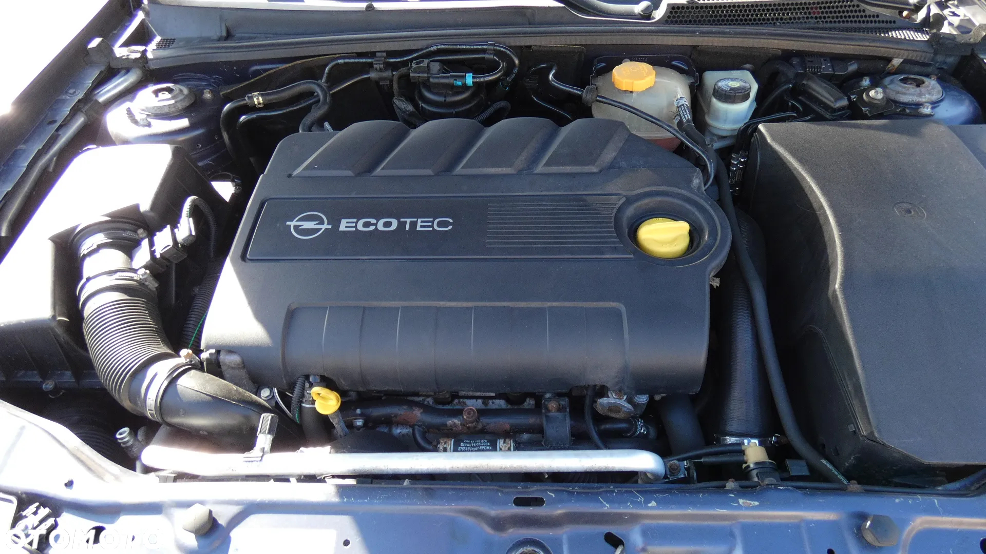 Opel Signum 1.9 CDTI Automatik Cosmo - 31