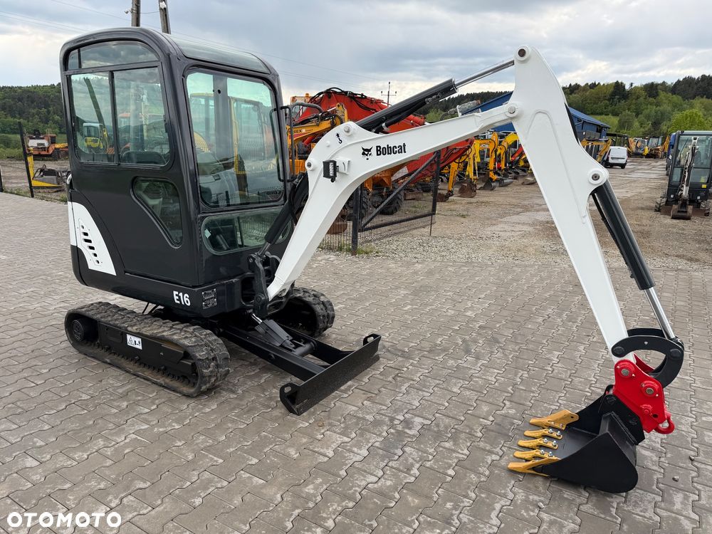 Bobcat - 8