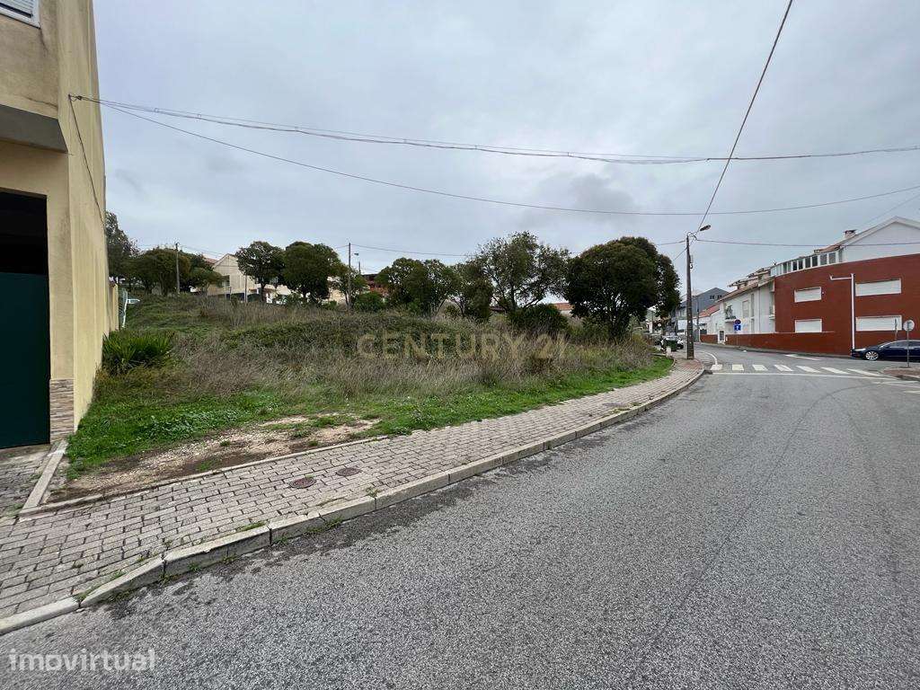 Terreno 1000 m2 -  GRANDE oportunidade de Investimento Casal Cambra - Grande imagem: 4/13