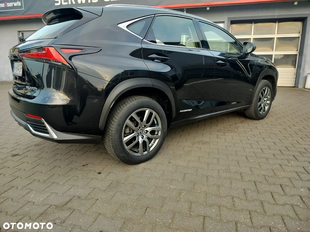 Lexus NX ver-300h-business-edition-awd - 17