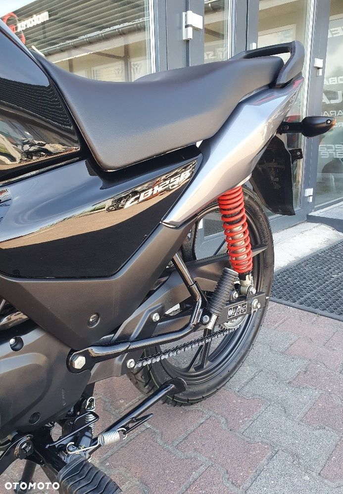 Honda CBF - 8