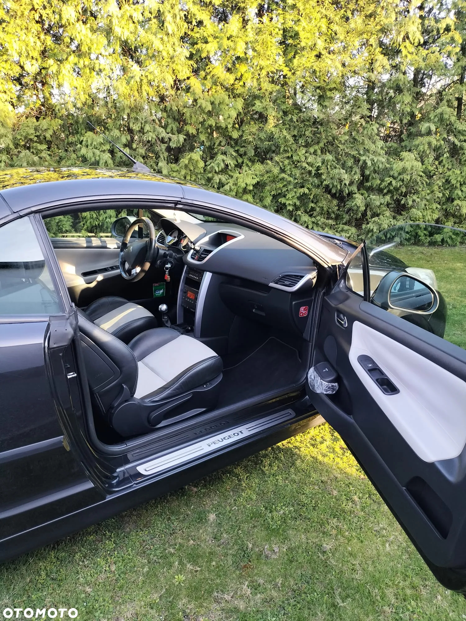 Peugeot 207 CC FAP 110 (Blue Lion) Roland Garros - 12