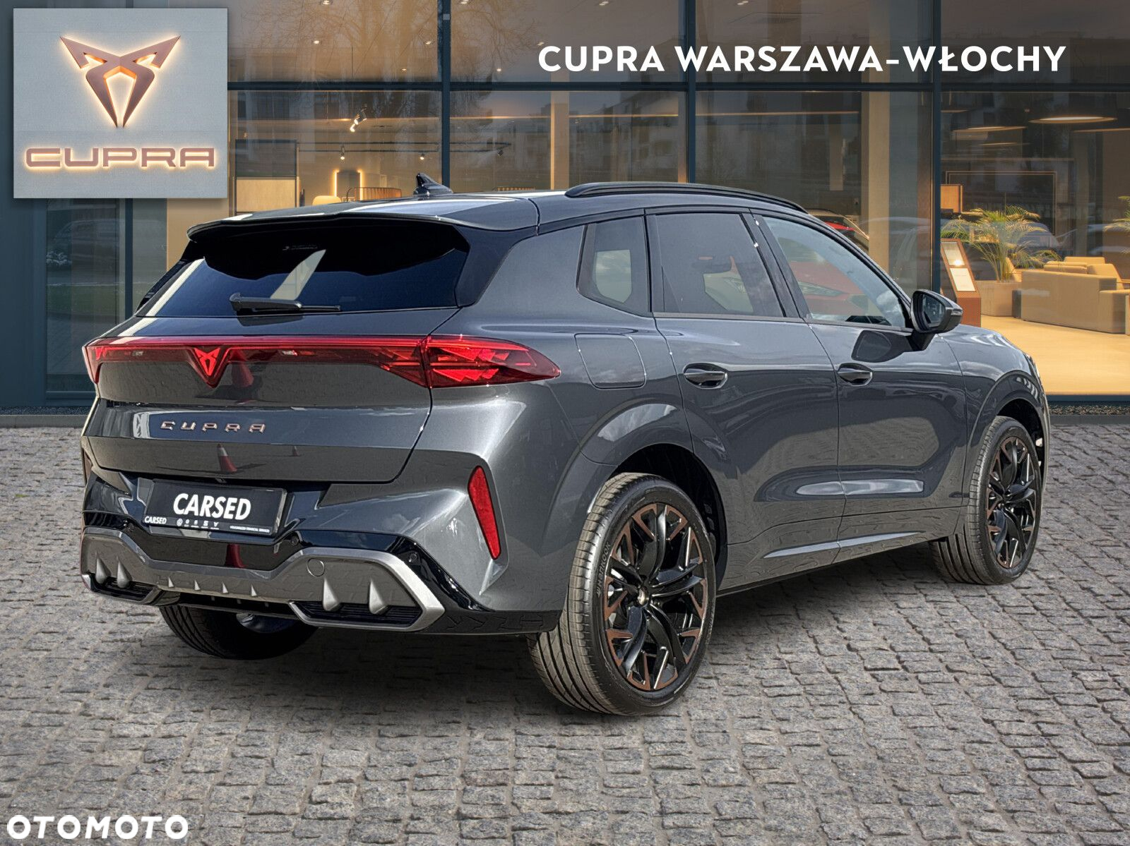 Cupra Terramar 2.0 TSI 4Drive Advantage Edition DSG - 6