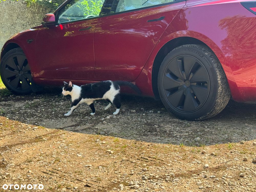 Tesla Model 3 Long Range AWD Premium - 14