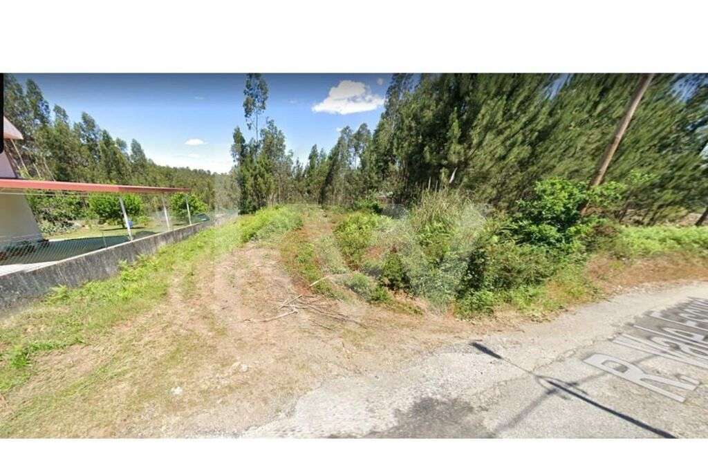 Terreno Rústico na freguesia de Canedo, lugar da Passareira - Grande imagem: 3/3