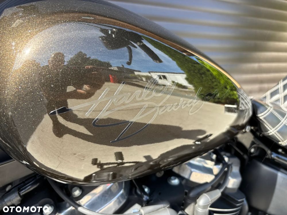 Harley-Davidson Softail - 3