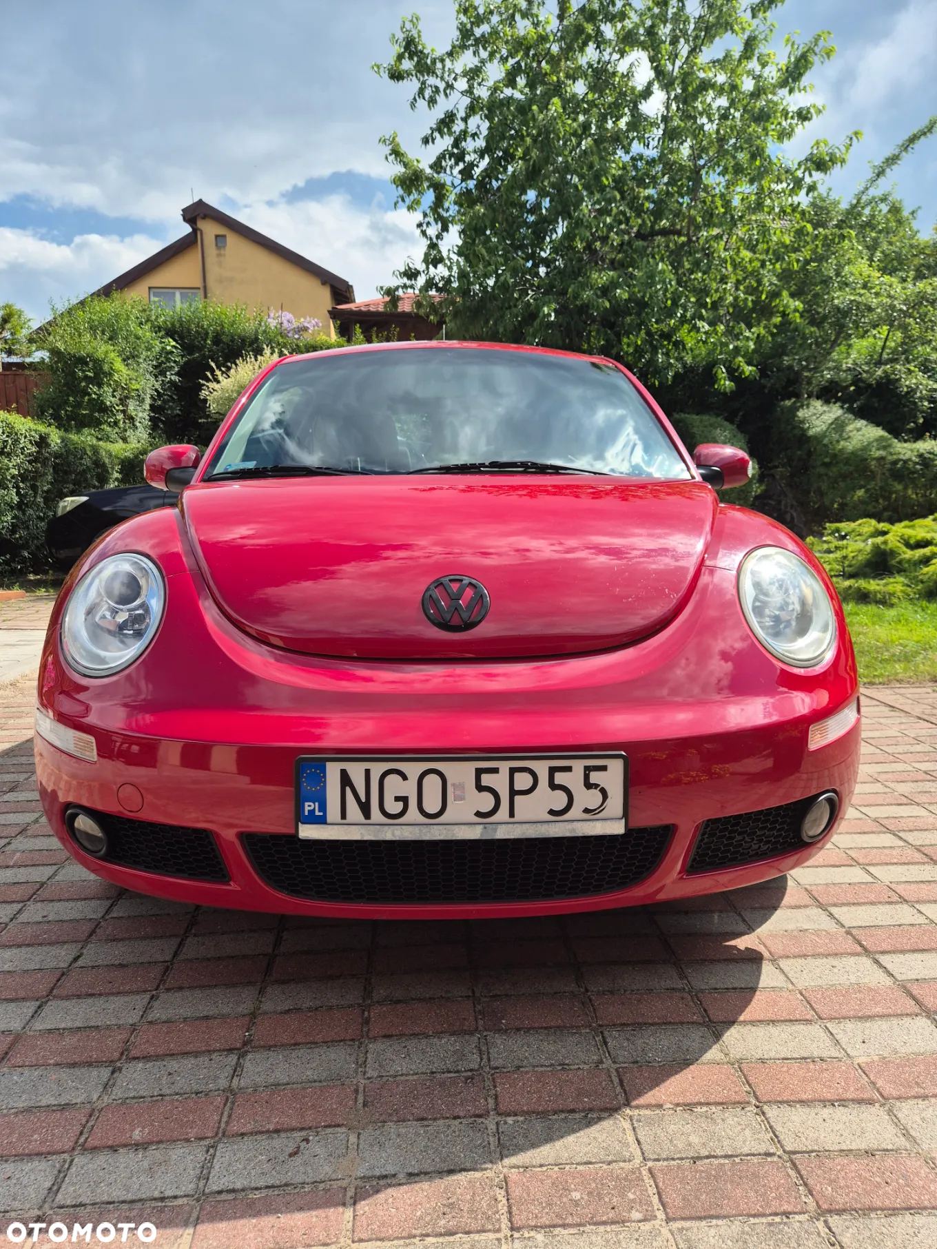 Volkswagen New Beetle 1.6 - 18