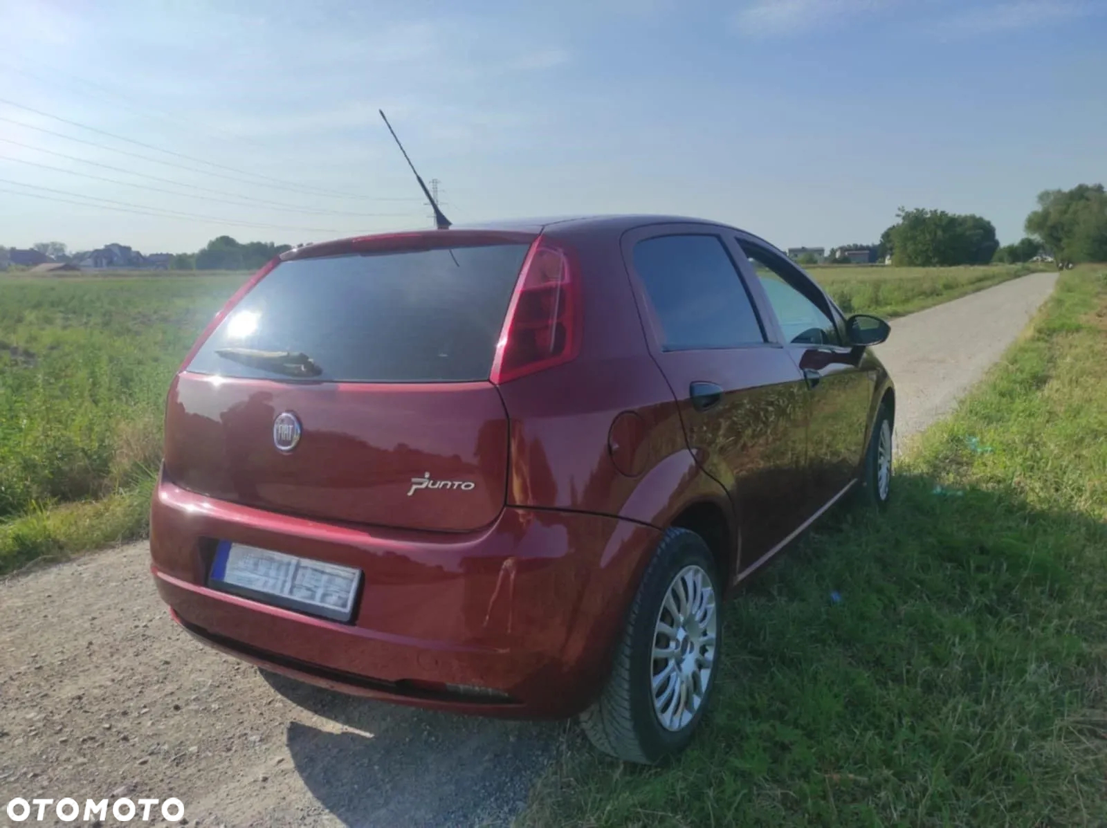 Fiat Punto - 5