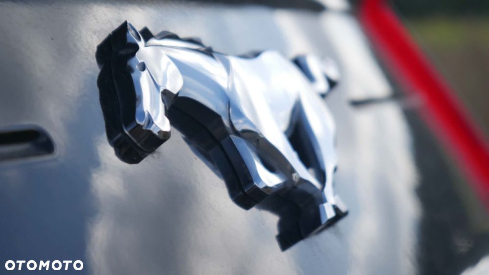Ford Mustang 2.3 EcoBoost - 14