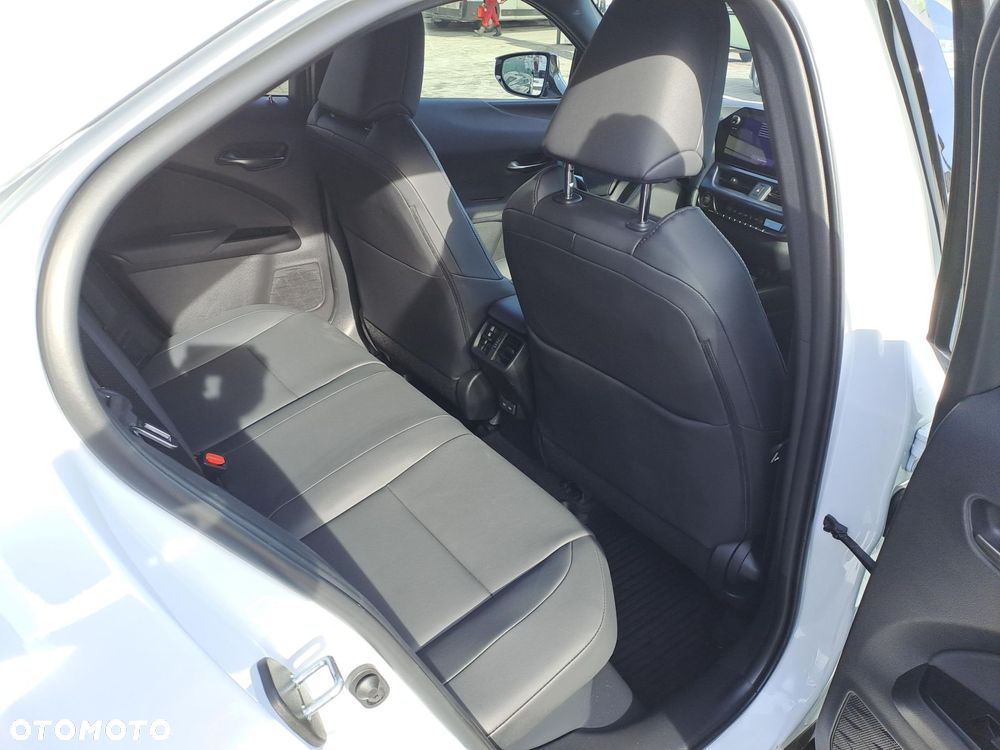 Lexus UX 250h GPF F Sport Design 2WD - 10