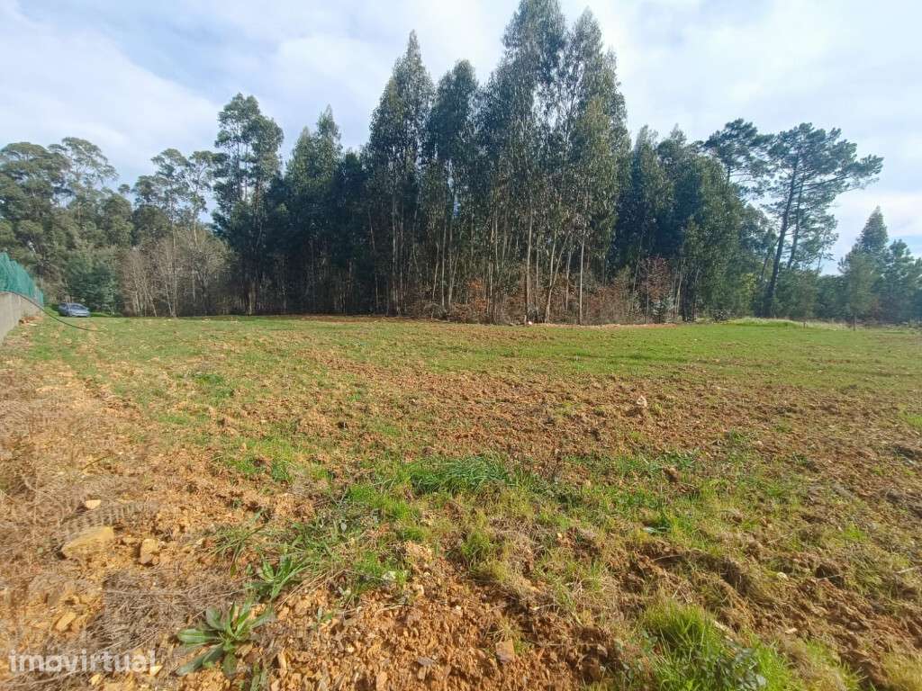 Venda Terreno - Grande imagem: 2/3