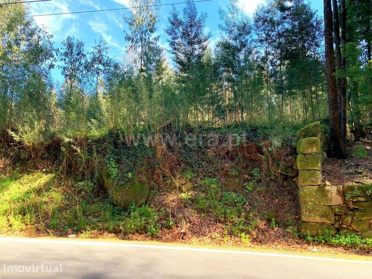 Terreno para Construção / Marco de Canaveses, Vila Boa do Bispo - Grande imagem: 2/5