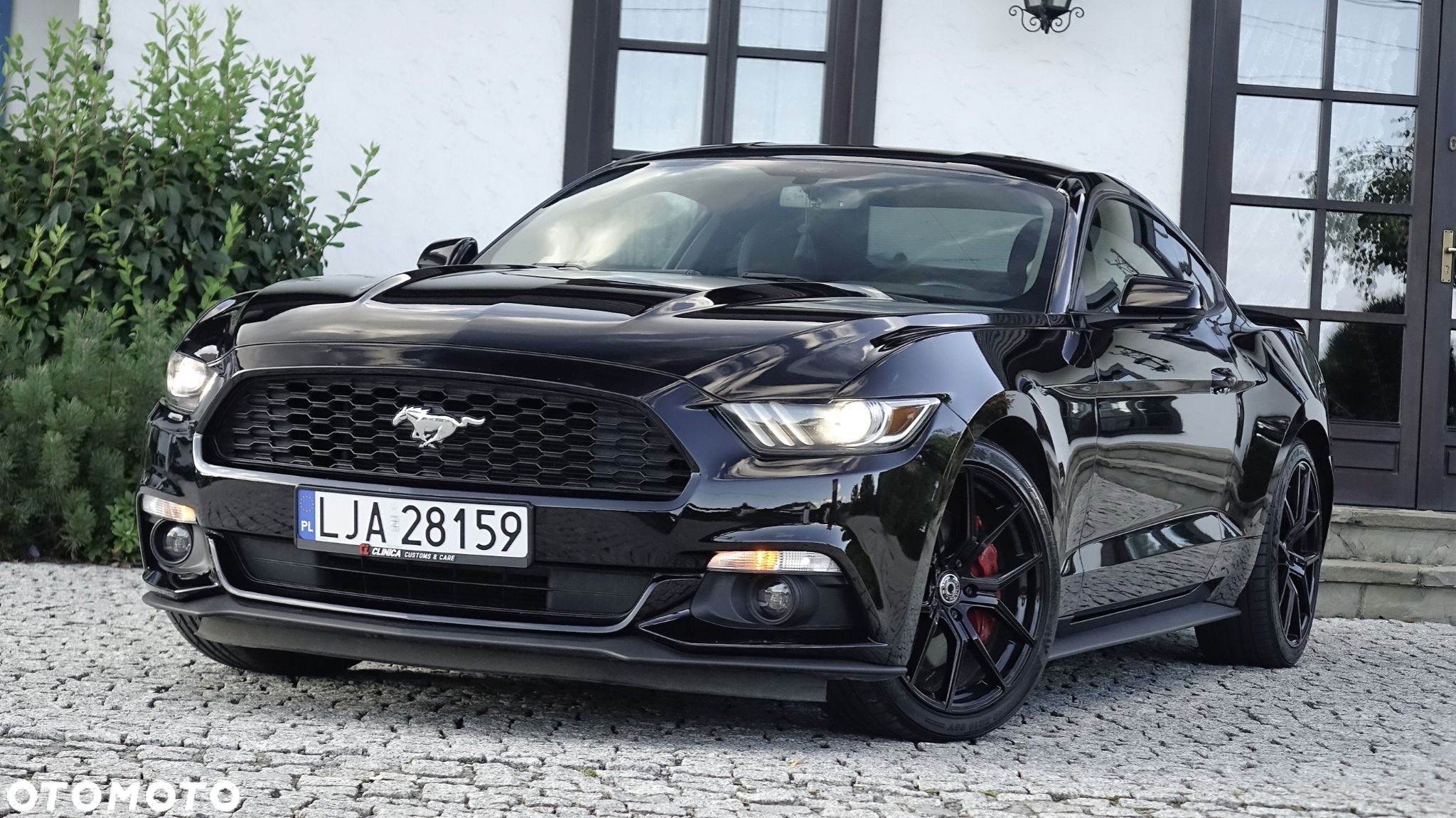 Ford Mustang - 1