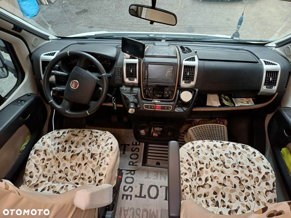 Carthago carthago - 5