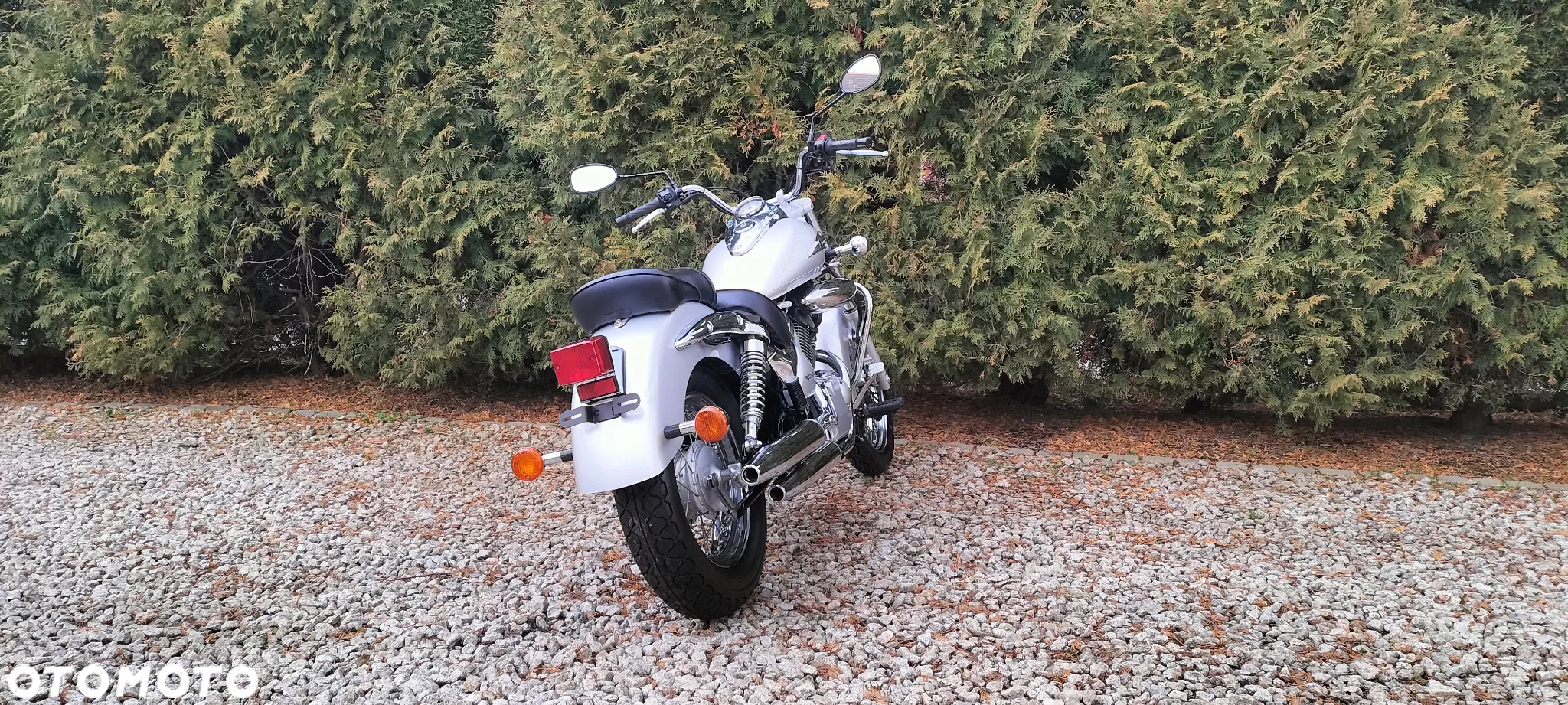 Suzuki Intruder - 7