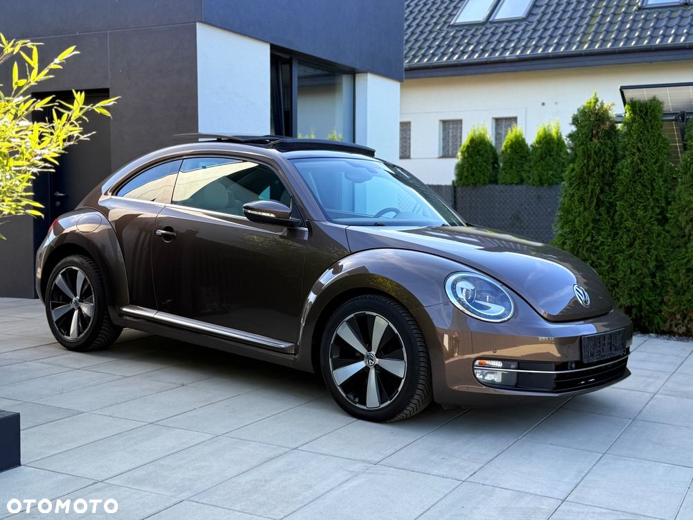 Volkswagen Beetle - 6