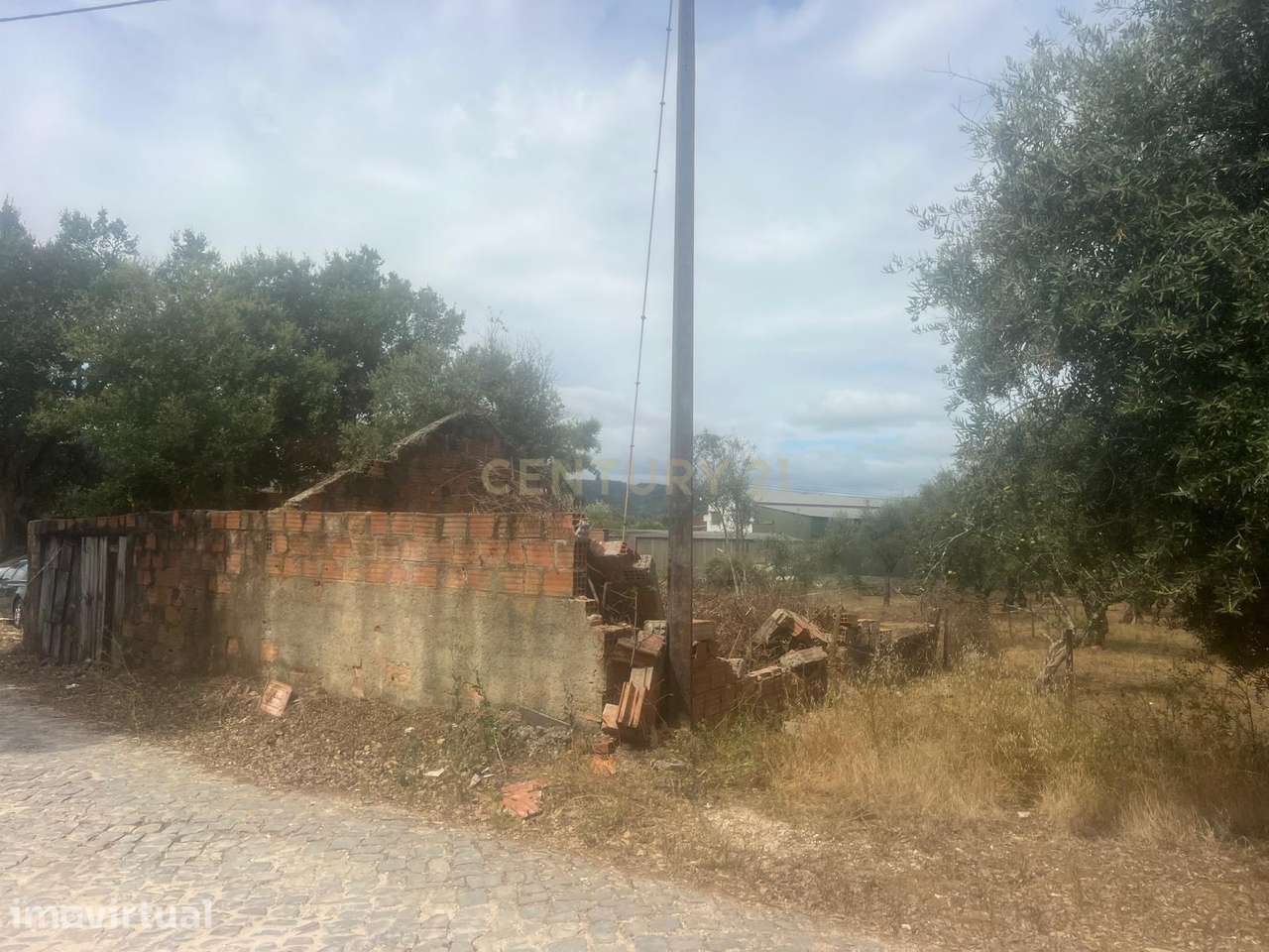 Oportunidade Única: Terreno em Almofala, Figueiró dos Vinhos - Grande imagem: 5/5
