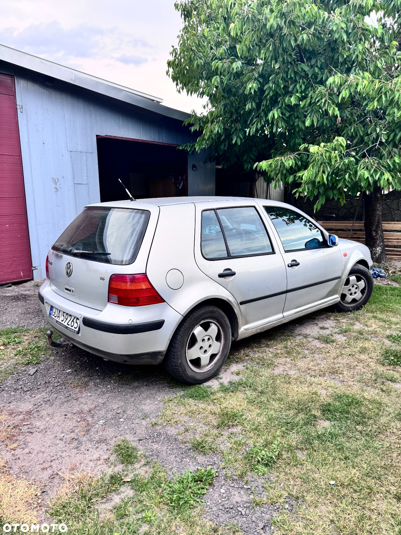 Volkswagen Golf - 2