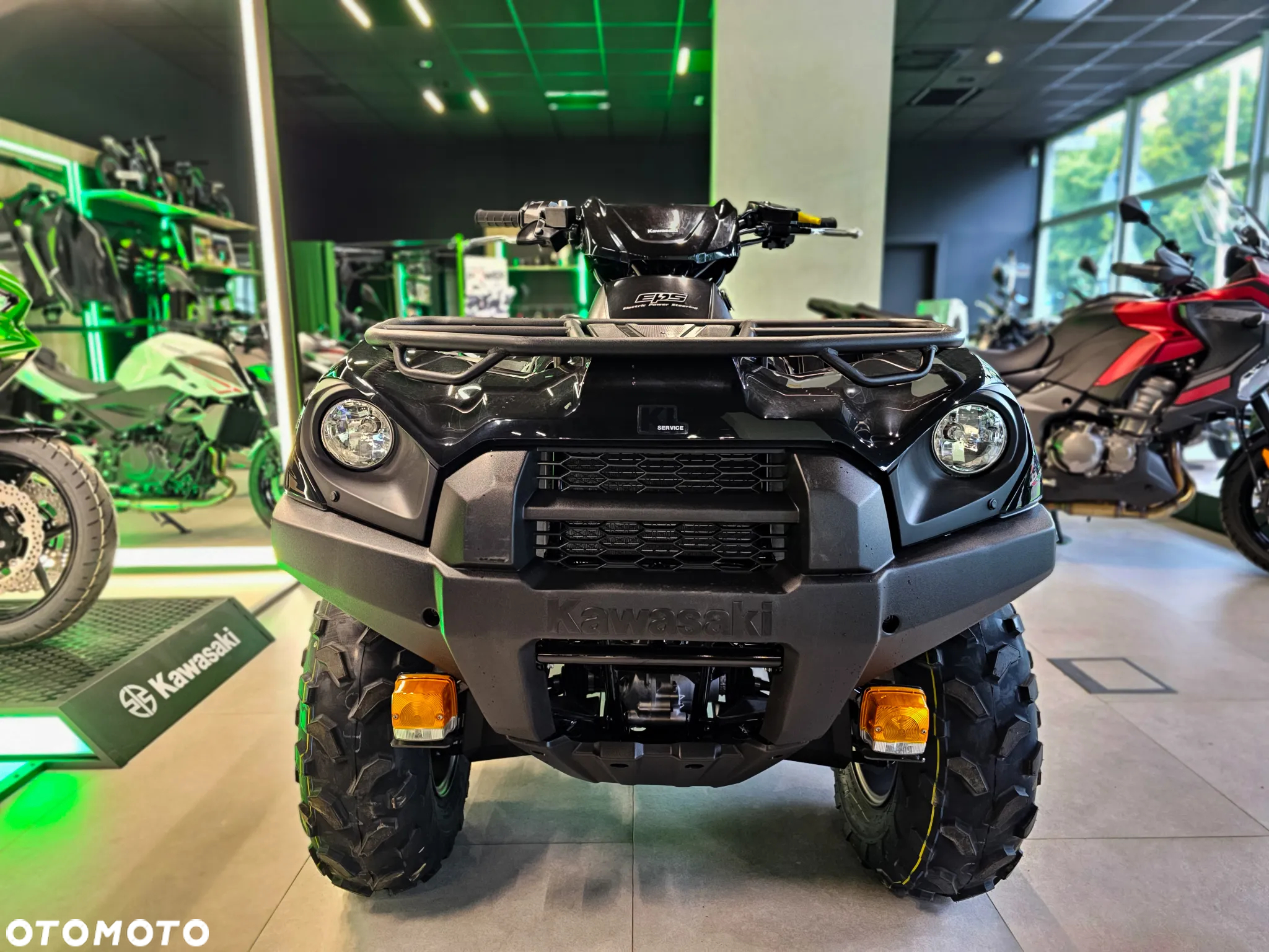Kawasaki Brute Force - 4