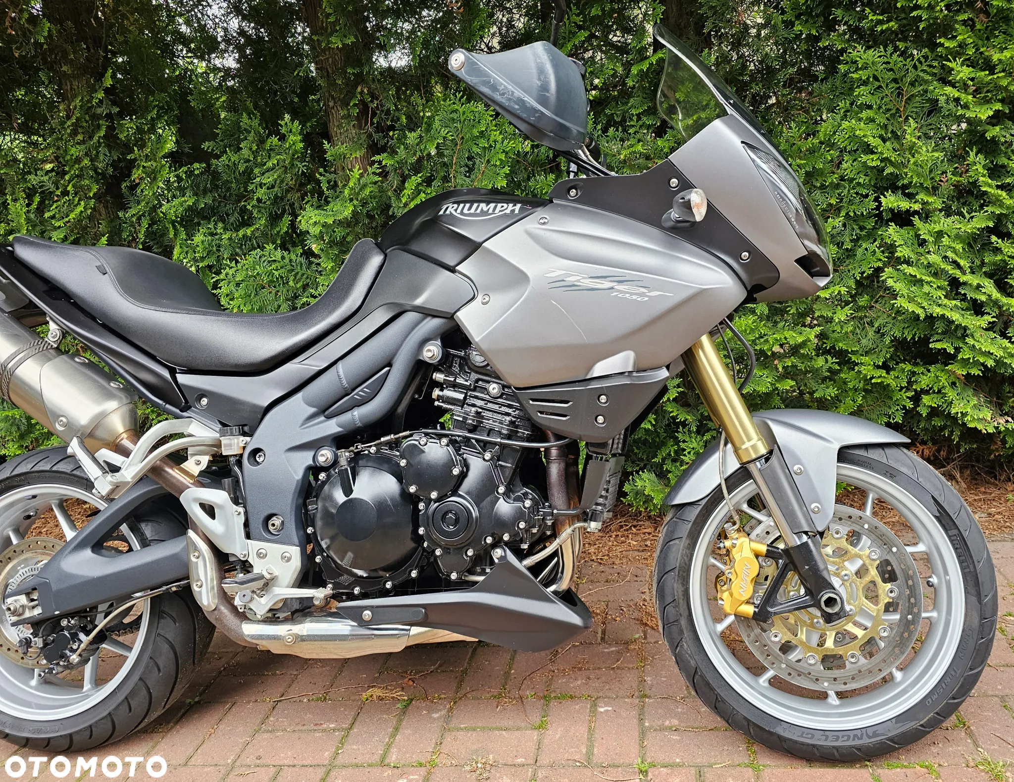 Triumph Tiger - 4