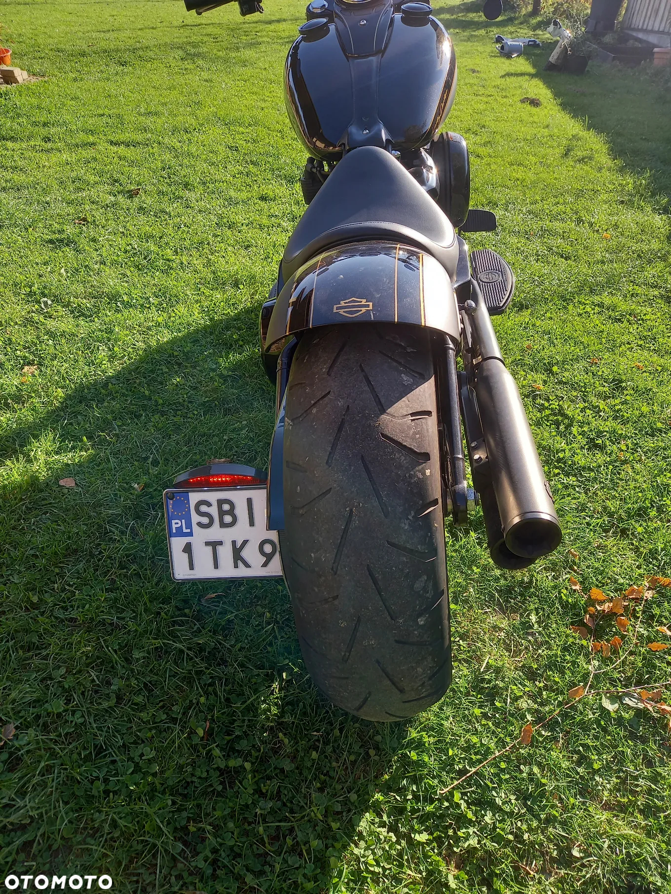 Harley-Davidson Softail Slim - 10