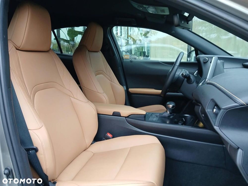 Lexus UX 250h GPF F Sport Design 2WD - 24