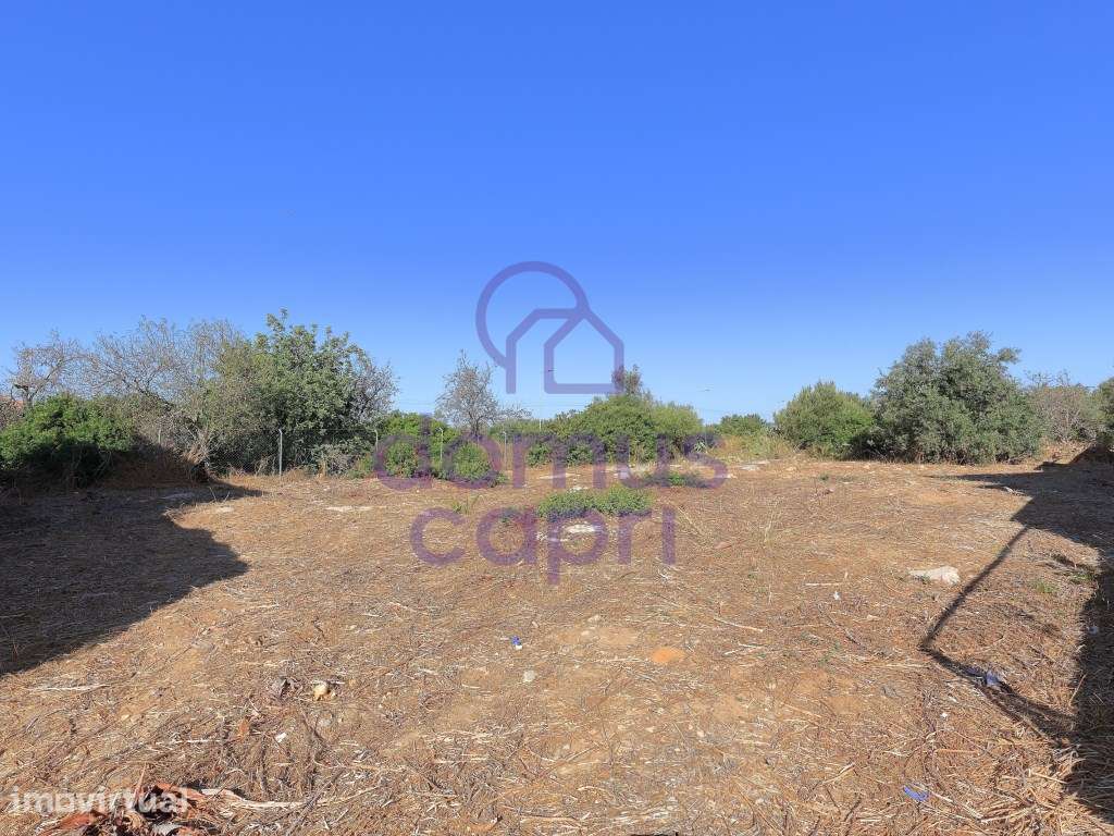 Terreno para Construção em Fuzeta - Grande imagem: 3/19