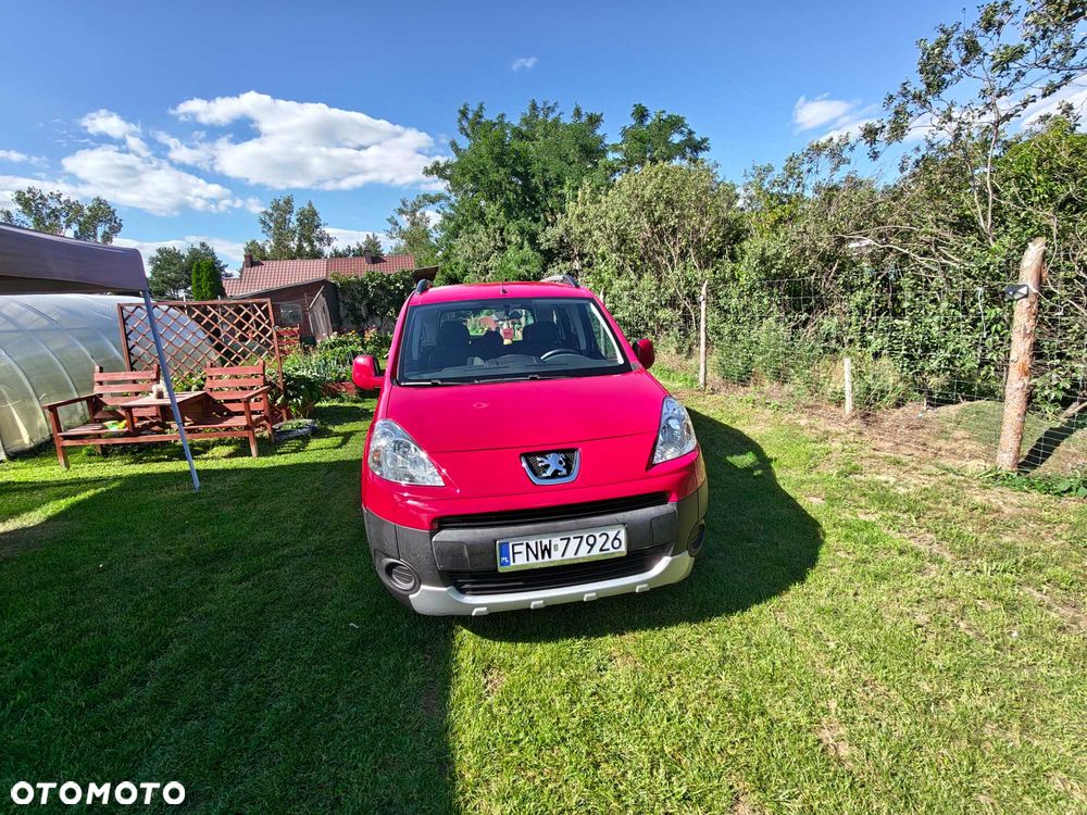 Peugeot Inny - 1