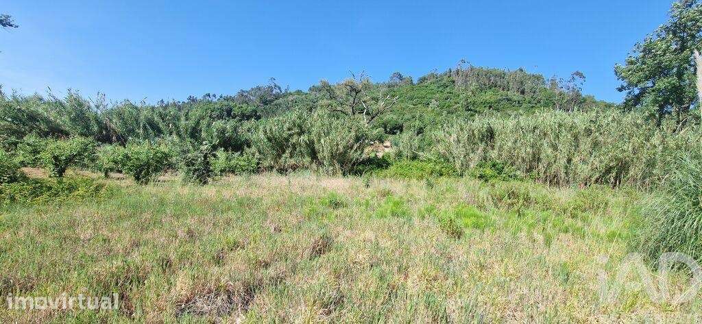 Terreno Agrícola em Azueira e Sobral da Abelheira - Grande imagem: 5/23