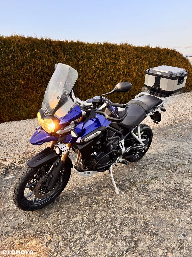 Triumph Tiger - 26