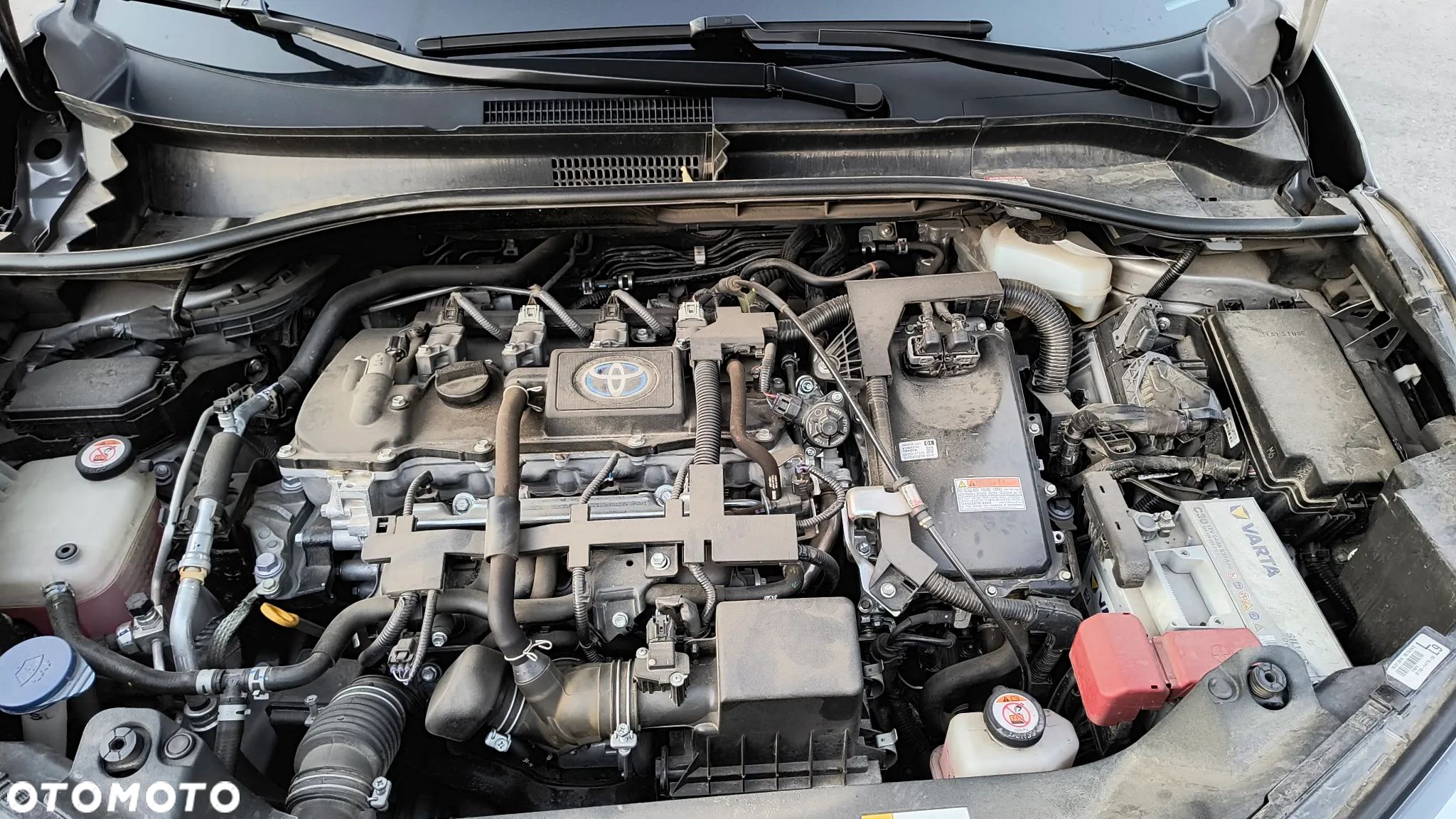 Toyota C-HR - 7