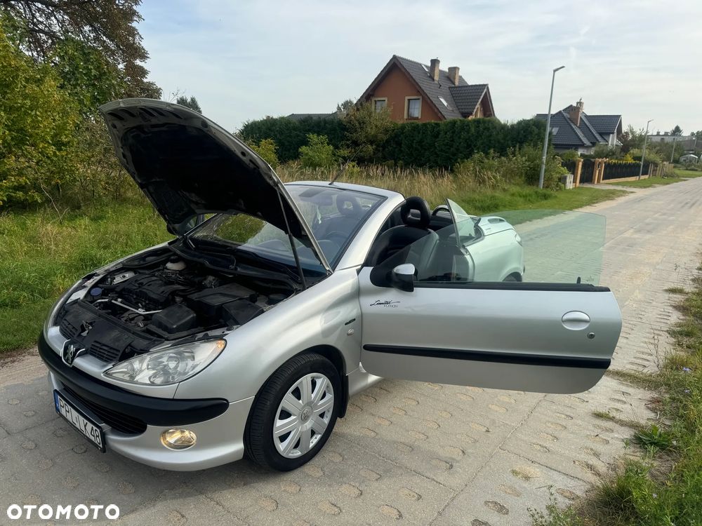 Peugeot 206 CC - 14