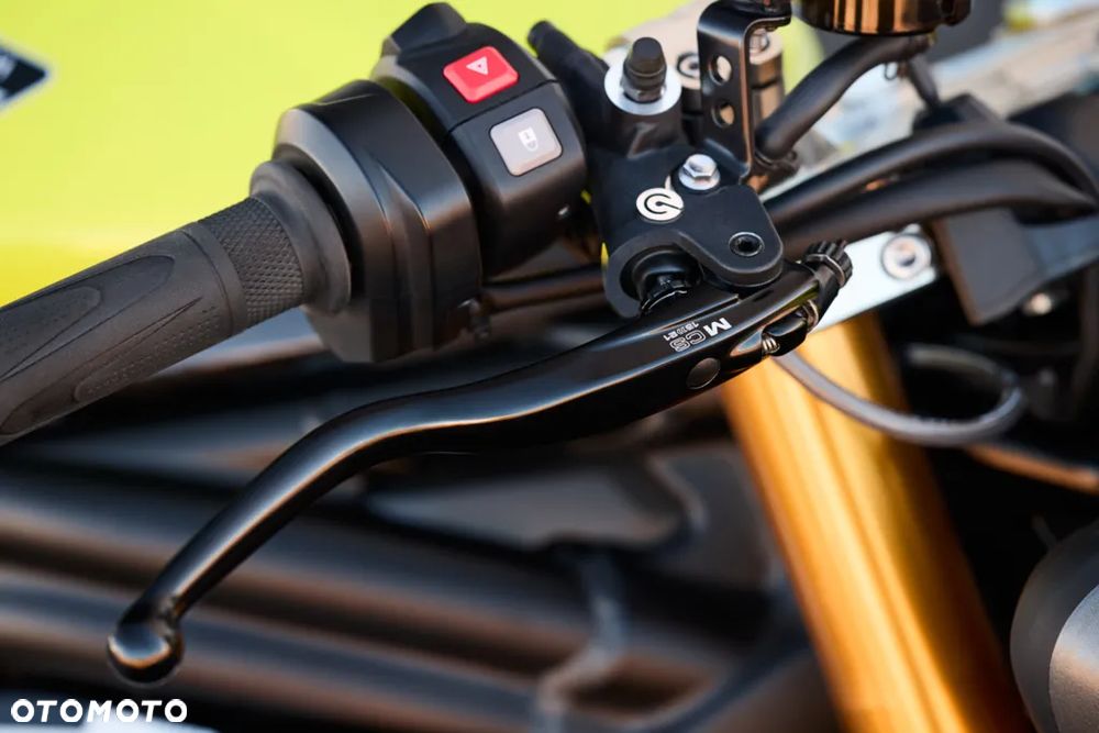 Triumph Speed Triple - 21