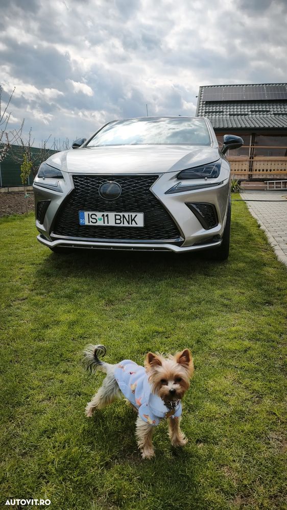 Lexus Seria NX 300h AWD F Sport - 7