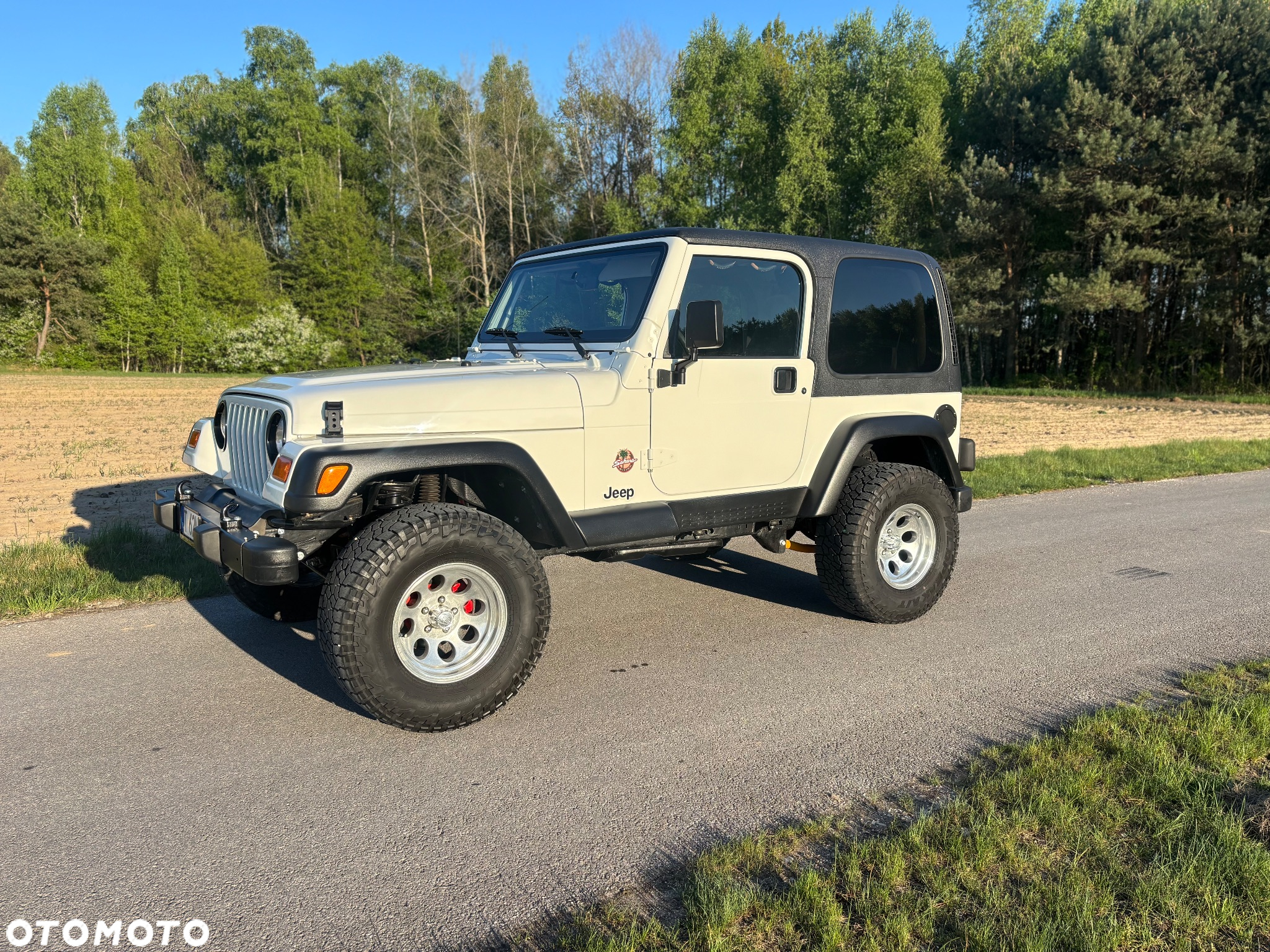 Jeep Wrangler 4.0 Sahara - 38